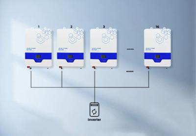 Tasso di autoscarica e densità energetica della batteria solare a parete