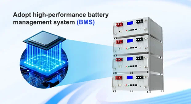 Adotta il sistema di gestione della batteria ad alte prestazioni (BMS)