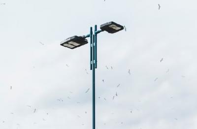 Come capire bene tutto In un lampione solare integrato?